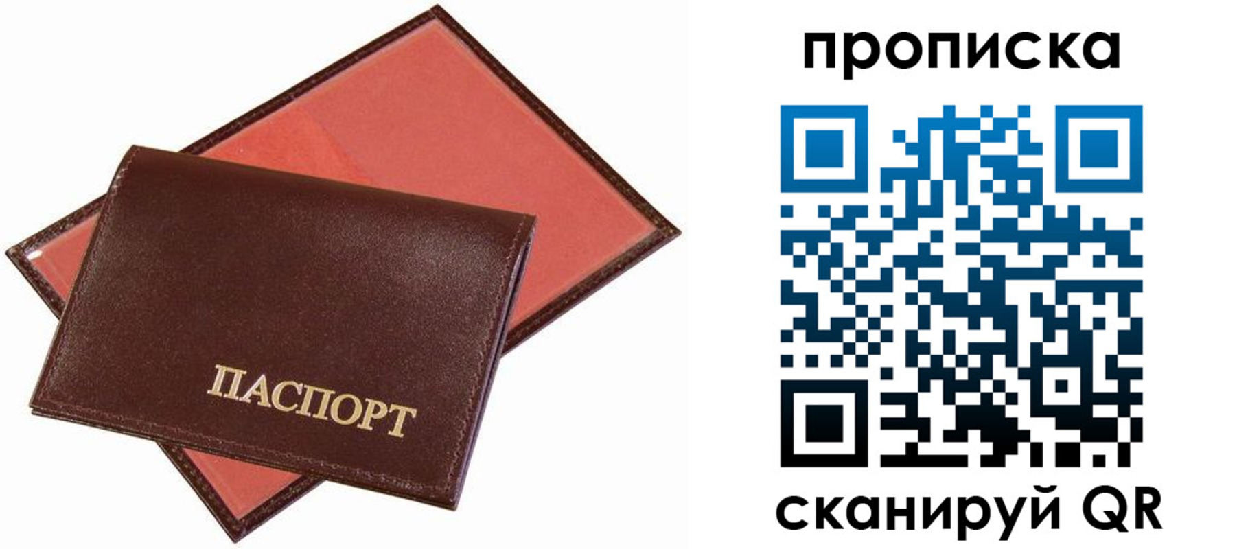 прописка паспорт в Архангельске